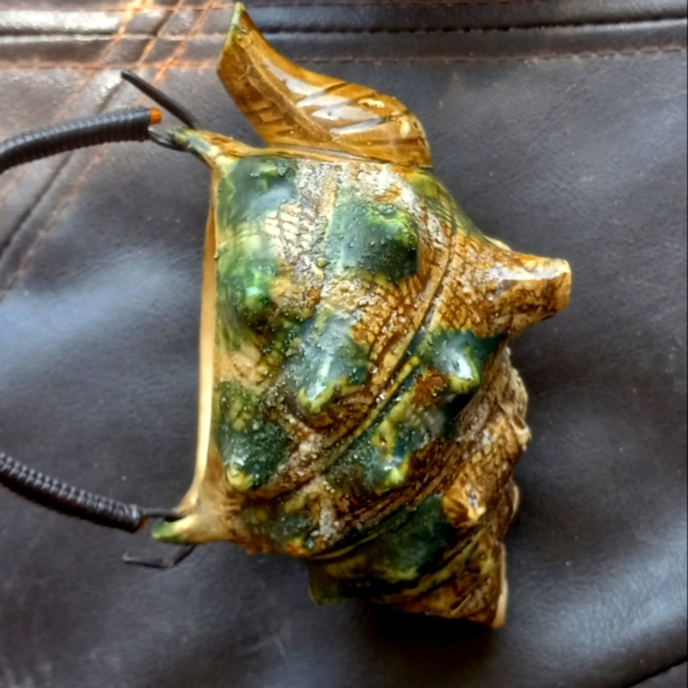 Seashell teapot